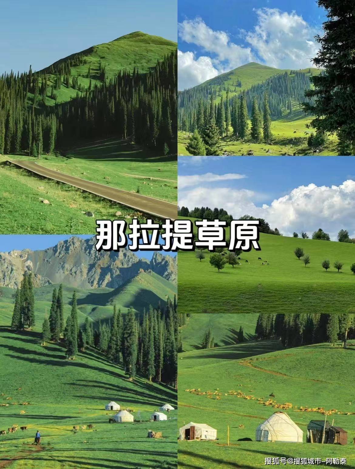 受高端旅行体验2025新疆最受欢迎的旅程J9国际网站说走就走！新疆轻奢跟团游享(图1)