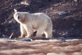 群岛帆船包船环岛航程（2025720-2