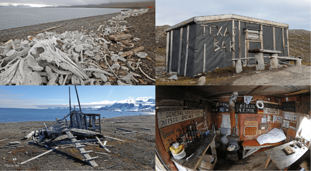 群岛帆船包船环岛航程（2025720-2586）九游会登录j9入口再次扬帆圆梦北极 北极斯瓦尔巴(图5)