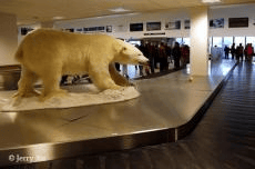 群岛帆船包船环岛航程（2025720-2586）九游会登录j9入口再次扬帆圆梦北极 北极斯瓦尔巴(图12)