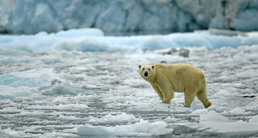 群岛帆船包船环岛航程（2025720-2586）九游会登录j9入口再次扬帆圆梦北极 北极斯瓦尔巴(图21)