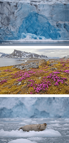 群岛帆船包船环岛航程（2025720-2586）九游会登录j9入口再次扬帆圆梦北极 北极斯瓦尔巴(图31)